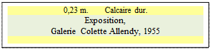 Zone de Texte: 0,23 m.        Calcaire dur.
Exposition,
Galerie Colette Allendy, 1955

