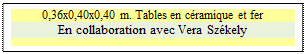 Zone de Texte: 0,36x0,40x0,40 m. Tables en c�ramique et fer
En collaboration avec Vera Sz�kely

