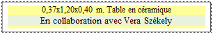 Zone de Texte: 0,37x1,20x0,40 m. Table en c�ramique
En collaboration avec Vera Sz�kely

