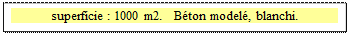 Zone de Texte: superficie : 1000 m2.   B&eacute;ton model&eacute;, blanchi.  

