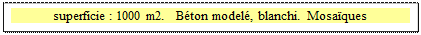 Zone de Texte: superficie : 1000 m2.   B�ton model�, blanchi.  Mosa�ques 

