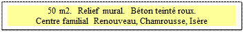 Zone de Texte: 50 m2.  Relief mural.  B&eacute;ton teint&eacute; roux.
Centre familial Renouveau, Chamrousse, Is&egrave;re

