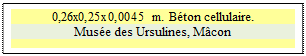 Zone de Texte: 0,26x0,25x0,0045 m. B�ton cellulaire.
Mus�e des Ursulines, M�con

