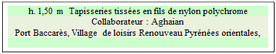 Zone de Texte: h. 1,50 m  Tapisseries tiss�es en fils de nylon polychrome
Collaborateur : Aghaian 
Port Baccar�s, Village de loisirs Renouveau Pyr�n�es orientales,               

