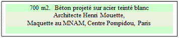 Zone de Texte: 700 m2.  B�ton projet� sur acier teint� blanc
Architecte Henri Mouette, 
Maquette au MNAM, Centre Pompidou, Paris

