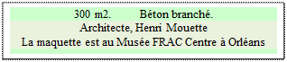 Zone de Texte: 300 m2. 	B�ton branch�.
Architecte, Henri Mouette
La maquette est au Mus�e FRAC Centre � Orl�ans

