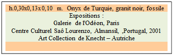 Zone de Texte: h.0,30x0,13x0,10 m.  Onyx de Turquie, granit noir, fossile 
Expositions :
Galerie de l'Od�on, Paris 
Centre Culturel Sa� Lourenzo, Almansil, ,Portugal, 2001
Art Collection de Knecht � Autriche

