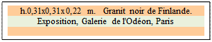 Zone de Texte: h.0,31x0,31x0,22 m.   Granit noir de Finlande. 
Exposition, Galerie de l'Od�on, Paris

