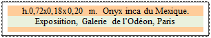 Zone de Texte: h.0,72x0,18x0,20 m.  Onyx inca du Mexique.
Exposiition, Galerie de l�Od�on, Paris
 
