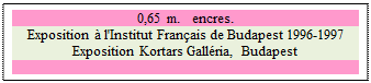 Zone de Texte: 0,65 m.   encres.
Exposition &agrave; l'Institut Fran&ccedil;ais de Budapest 1996-1997
Exposition Kortars Gall&eacute;ria, Budapest

