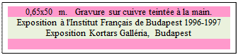 Zone de Texte: 0,65x50 m.   Gravure sur cuivre teint�e � la main.
Exposition � l'Institut Fran�ais de Budapest 1996-1997
Exposition Kortars Gall�ria, Budapest

