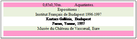Zone de Texte: 0,65x0,50m. 	 Aquatintes.
Expositions : 
Institut Fran�ais de Budapest 1996-1997
Kortars Gall�ria, Budapest
Paron, Yonne, 1997 
Mus�e du Ch�teau de Vasc�uil, Eure

